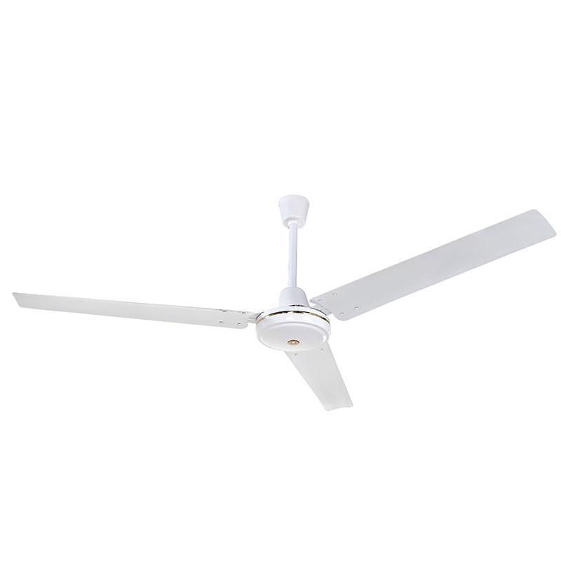 000000000120205776_1.jpg 000000000120205776_1.jpg